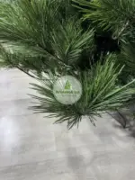 Лита ялинка «Мішель» на шарнірах зелена — фото 11