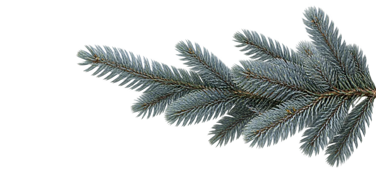 Голубые искусственные ёлки