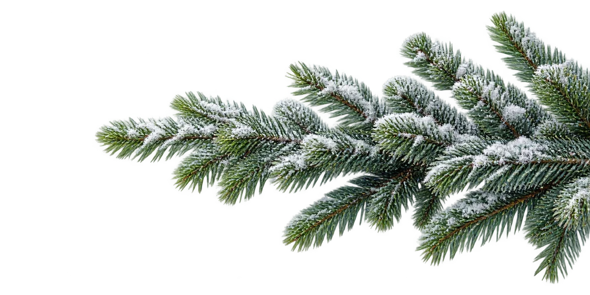 Заснеженные искусственные ёлки